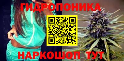PSILOCYBIN Братск